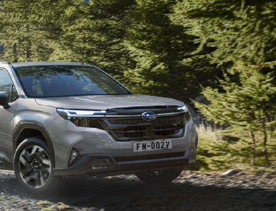 Весняний сервіс